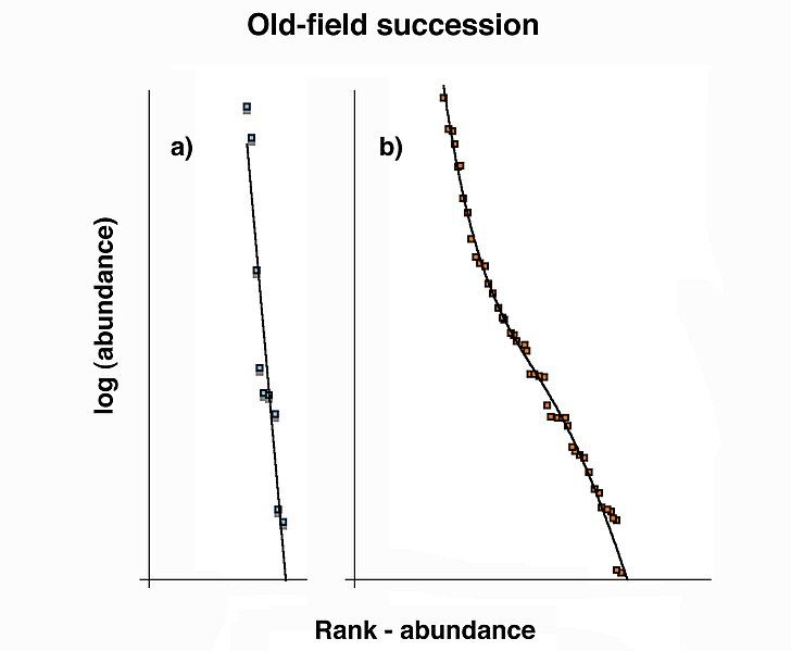 File:Succession.jpg