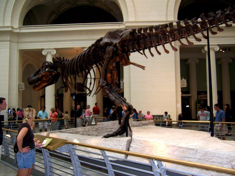 File:TRex1.jpg