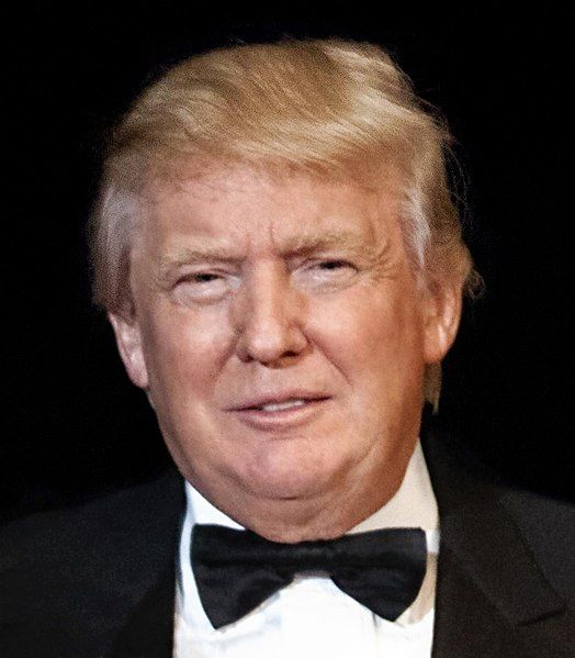 File:TheDonald.jpg