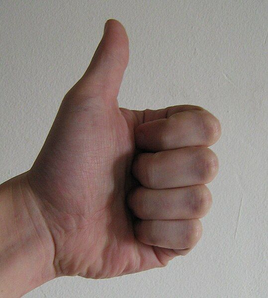 File:Thumb-up.jpg