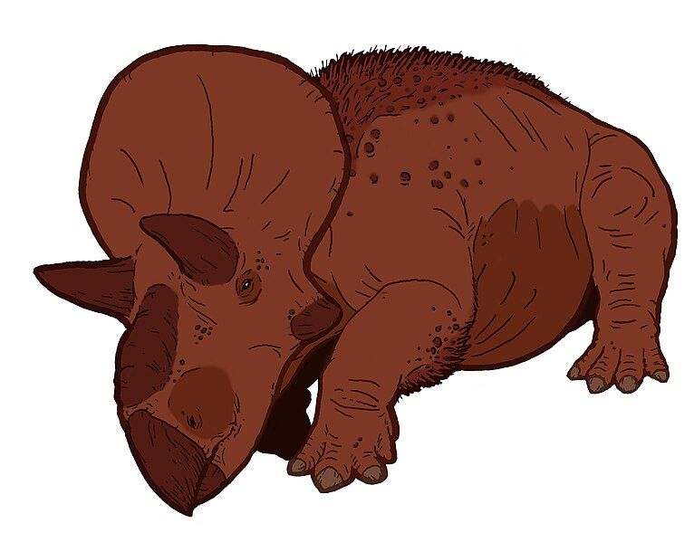 File:Turanoceratops.jpg