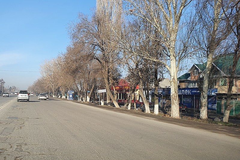 File:Voenno-Antonovka (Sokuluk) skyline.jpg