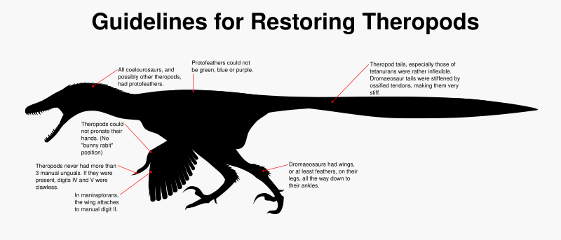 File:WP Theropod Guidelines.svg