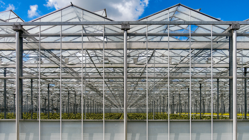 File:Westland greenhouse.webp