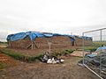 Sod house construction (second attempt)