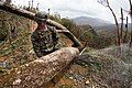 National Guard working in Ceiba after the hurricane