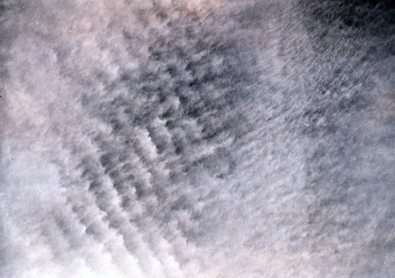 File:Altocumulus undulatus cloud.jpg