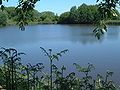 Pond at Aukrug-Innien