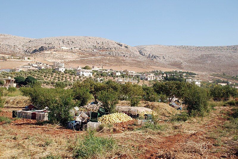 File:Basuta,pomegranade.jpg