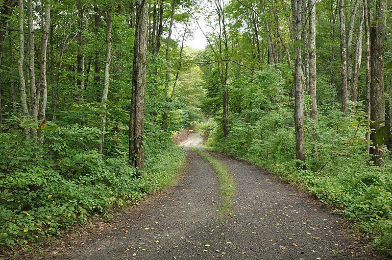 File:BoltonCT RochambeauRoute BaileyRoad.jpg