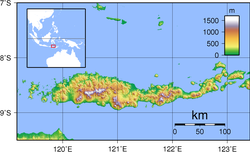 Flores Island and its location in Indonesia