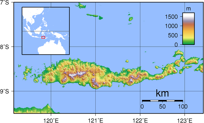 File:Flores Topography.png