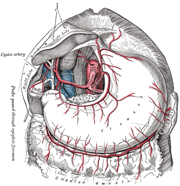 File:Gray532.png