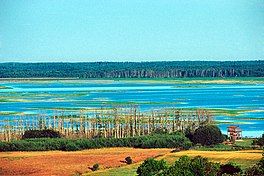 View of lake