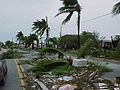 Image 130Hurricane Georges downed trees in Key West along the old houseboat row on South Roosevelt Blvd. (from 1990s)