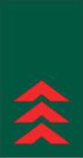 File:Mozambique-Army-OR-6.svg