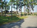 Picnic area at Ochlockonee River State Park