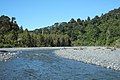 Looking north from Turere Stream