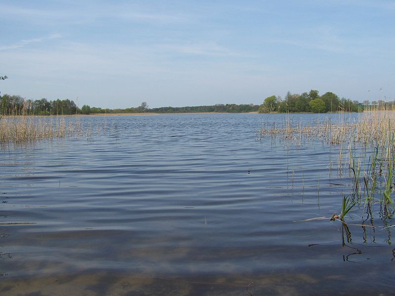 File:Pütter See (2008-05-07).JPG