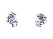 2j3f: L-FICOLIN COMPLEXED TO N-ACETYL-D-GALACTOSAMINE