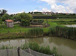 Part of the experimental farm with the settlement behind it