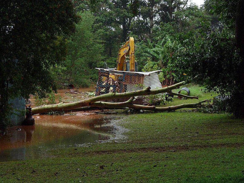 File:Sea Marshland.jpg