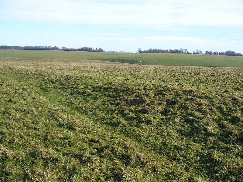 File:The Avenue, Stonehenge.JPG