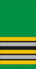 File:10.Mali Army-LTC.svg