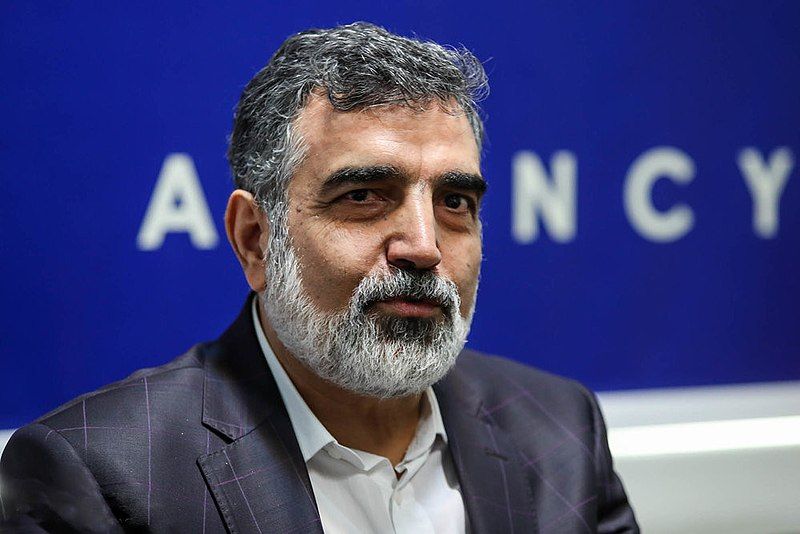 File:Behrouz Kamalvandi, 2018.jpg