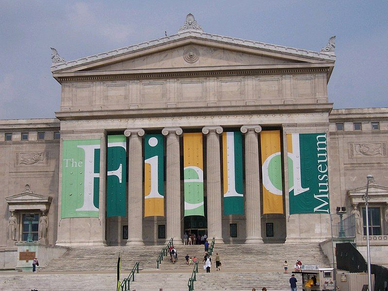 File:FieldMuseum.jpg