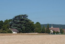 A general view of Perrigny-lès-Dijon