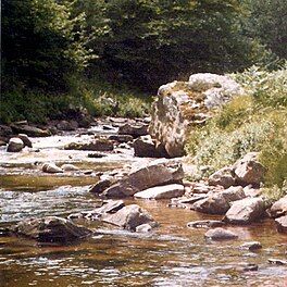 A river surrounded by rocks and trees.