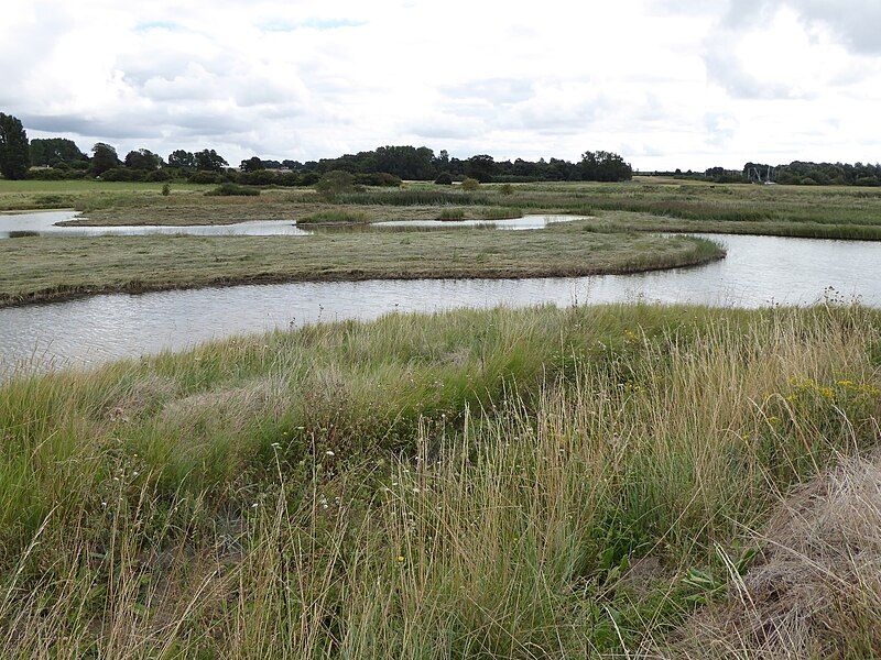 File:Levington Lagoon 4.jpg