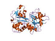 1n7x: HUMAN SERUM TRANSFERRIN, N-LOBE Y45E MUTANT