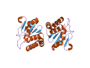 1zzw: Crystal Structure of catalytic domain of Human MAP Kinase Phosphatase 5