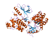 2i6l: Crystal structure of human mitogen activated protein kinase 6 (MAPK6)