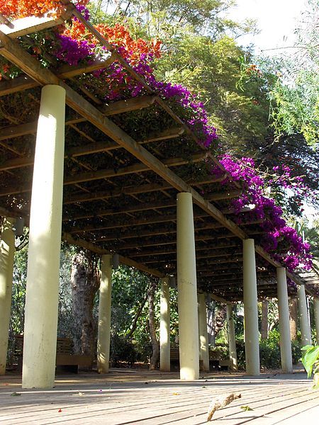 File:Pergola canaria.JPG