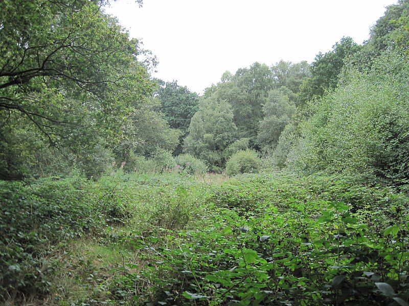 File:Rowley Green Common.JPG