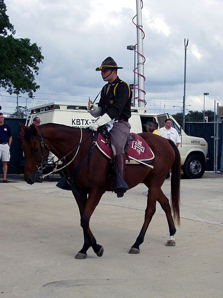 File:Tamu Cav01.jpg