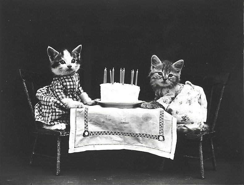 File:The birthday cake.jpg