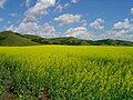 The Qu'Appelle Valley under cultivation in South East Saskatchewan