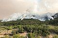 Fire growth on the southwest side of the Pine Gulch Fire on August 15.