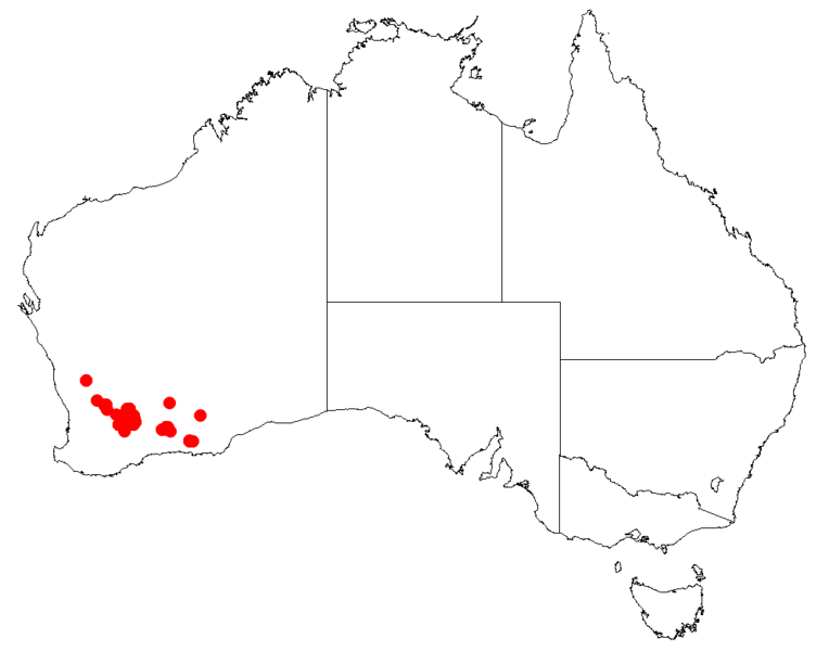 File:Acacia acomaDistMap9.png