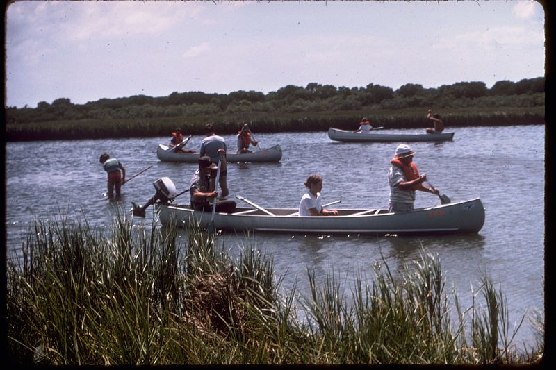 File:Assateague Island ASIS2576.jpg