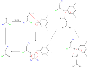 Beckmann cyanuric acid cataly cycle