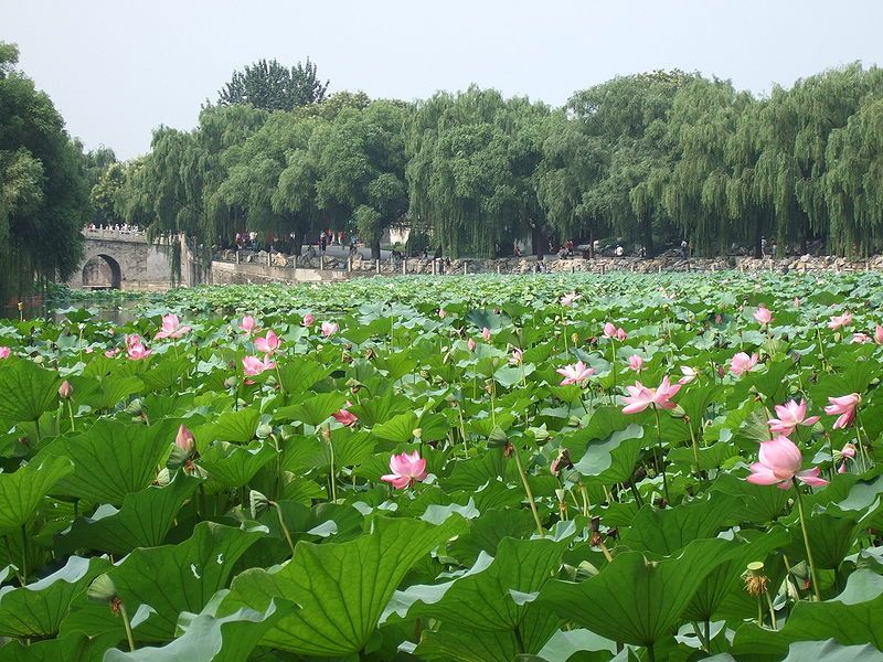 File:Beihaiparkpic6.jpg