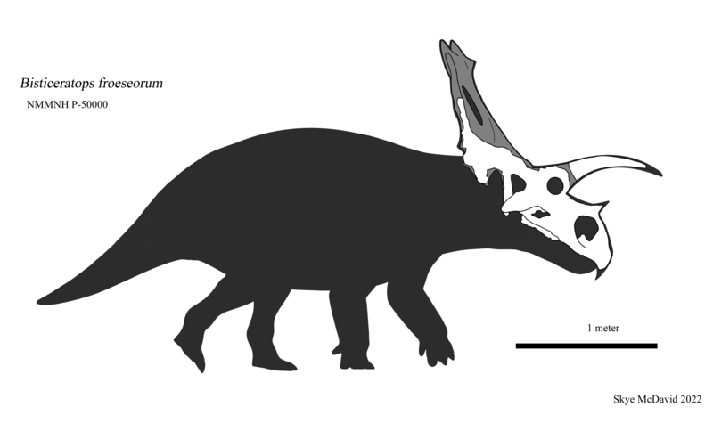 File:Bisticeratops skeletal.png