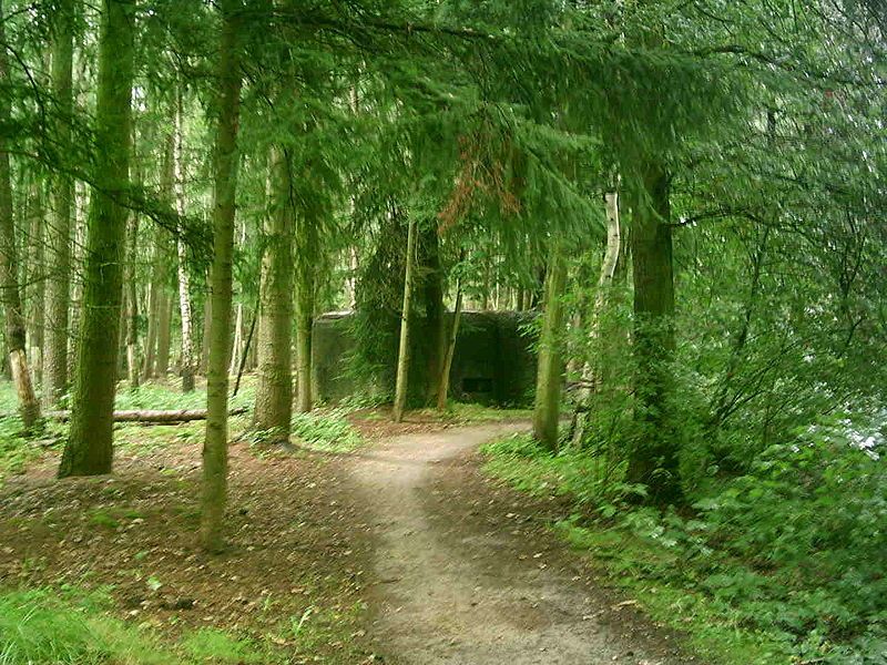 File:Bunker antitankkanaal.JPG