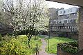 An example of one of the internal courtyards within South Quay Estate