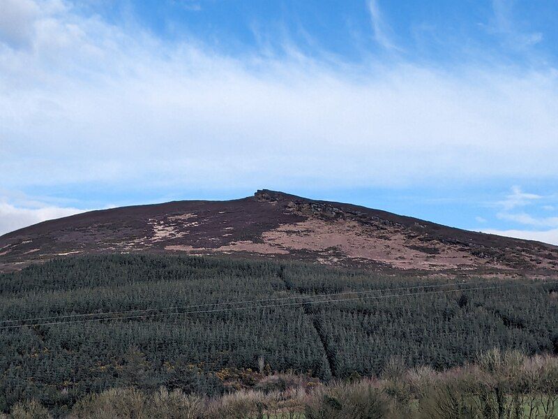 File:Carrigeenamronety peak.jpg